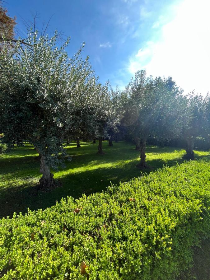 Appartamento Il Giardino di Athena 1 Paestum Esterno foto