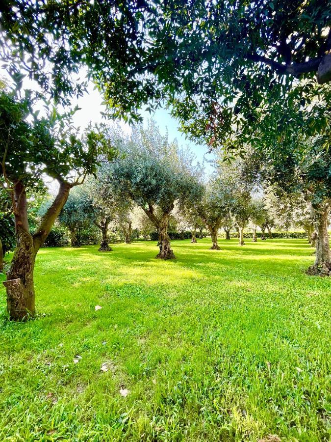 Appartamento Il Giardino di Athena 1 Paestum Esterno foto