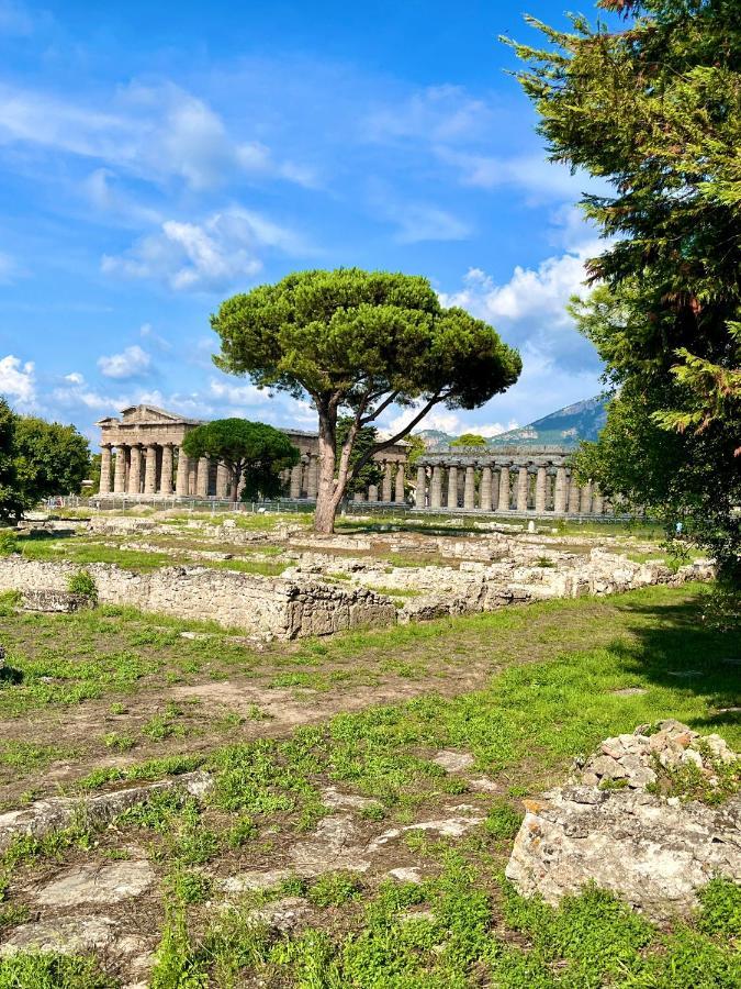 Appartamento Il Giardino di Athena 1 Paestum Esterno foto