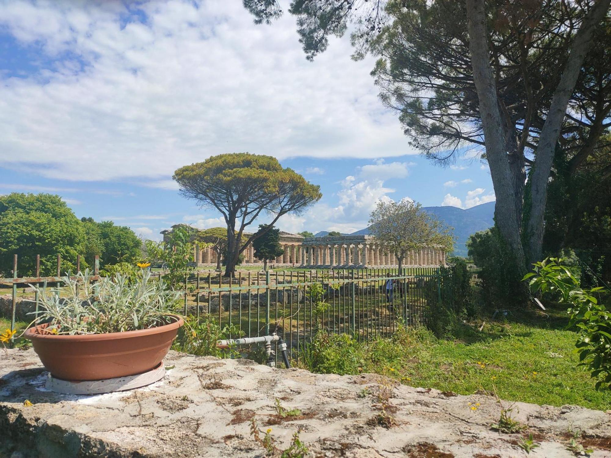 Appartamento Il Giardino di Athena 1 Paestum Camera foto