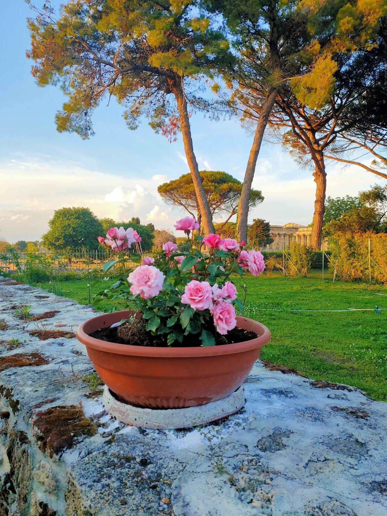 Appartamento Il Giardino di Athena 1 Paestum Esterno foto