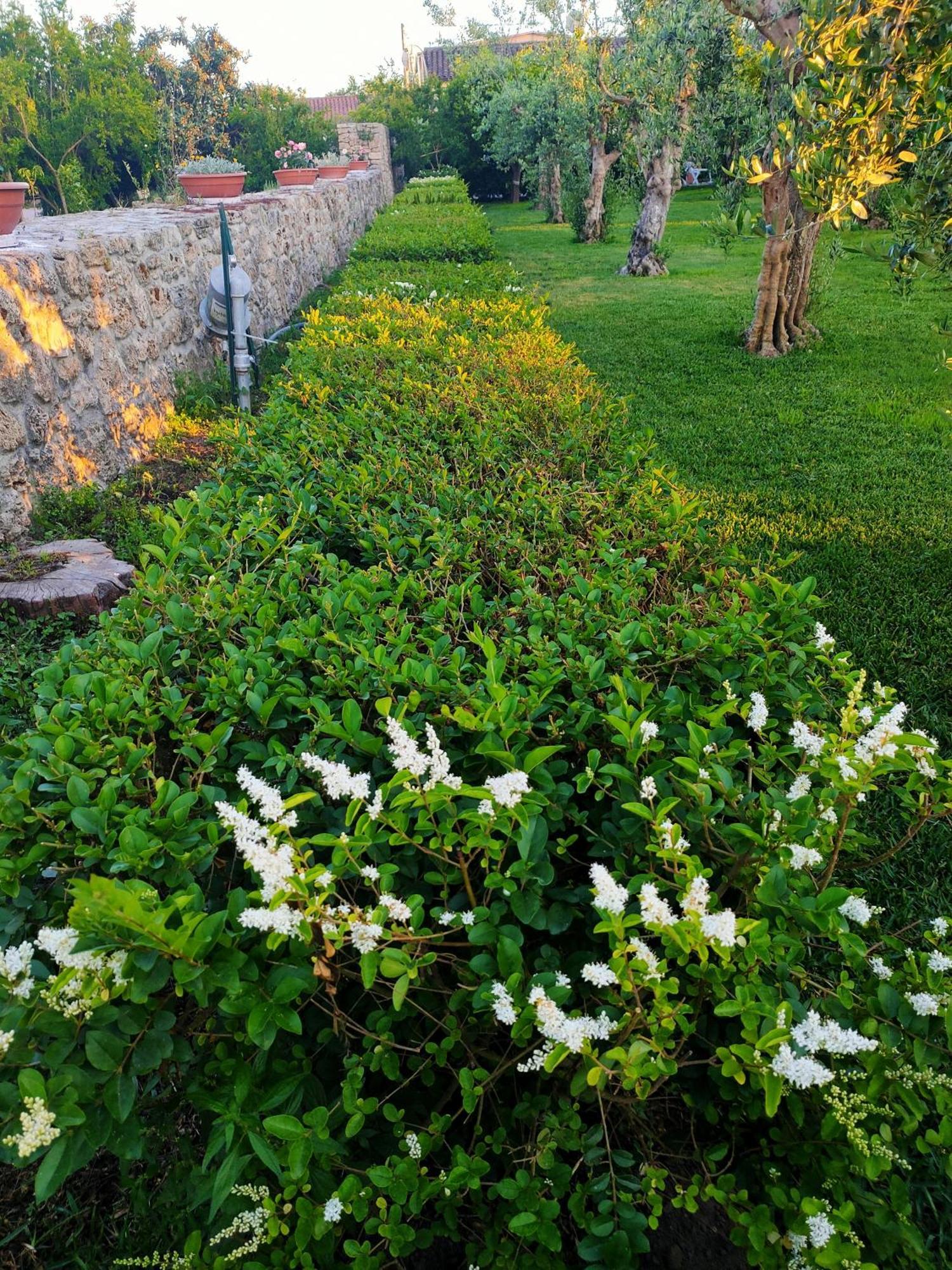 Appartamento Il Giardino di Athena 1 Paestum Esterno foto